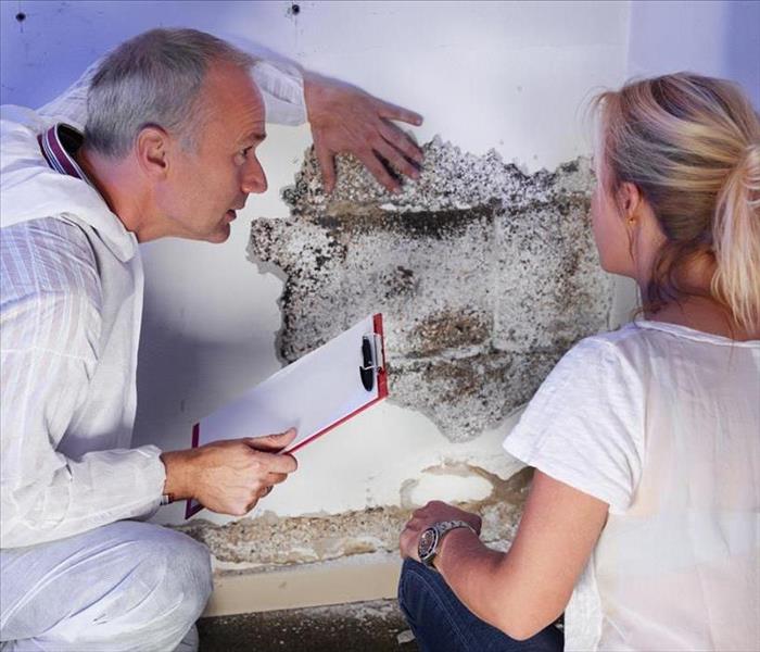 a pest control contractor or exterminator with a blonde female customer at a mold destroyed wall 