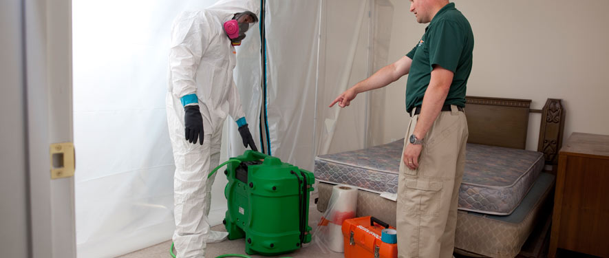 Lafayette, CO mold removal process